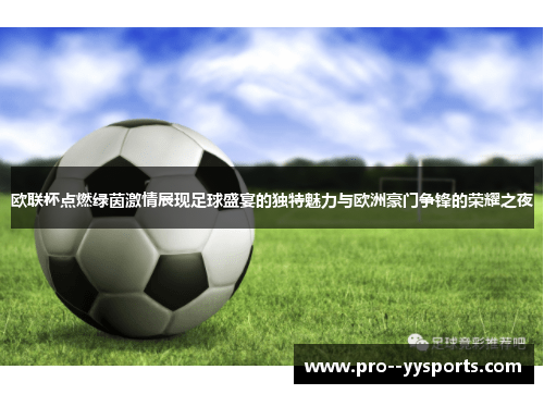 欧联杯点燃绿茵激情展现足球盛宴的独特魅力与欧洲豪门争锋的荣耀之夜